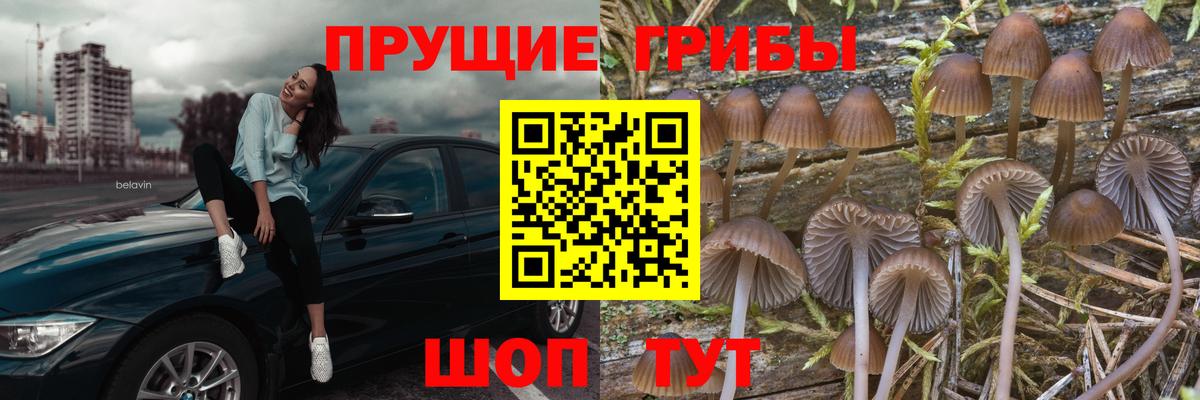 Галлюциногенные грибы MAGIC MUSHROOMS Стрежевой
