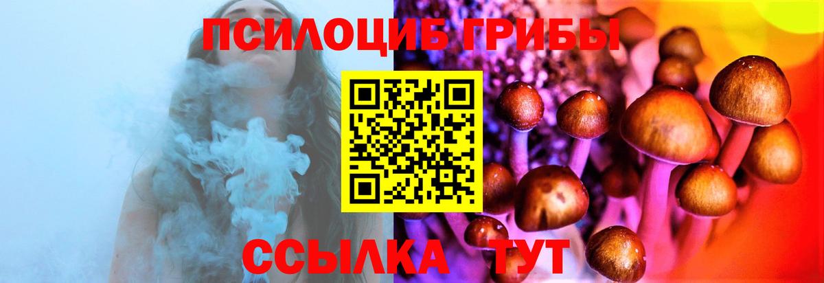 Псилоцибиновые грибы MAGIC MUSHROOMS  Вход с VPN  Стрежевой 